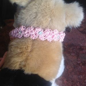 NWT crochet dog collar and leash